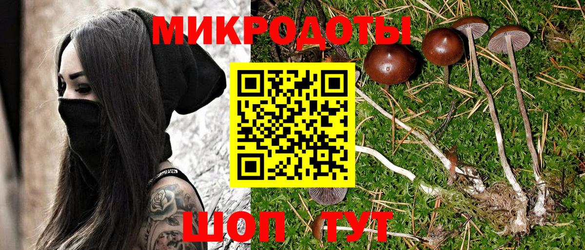 Галлюциногенные грибы MAGIC MUSHROOMS Богородицк