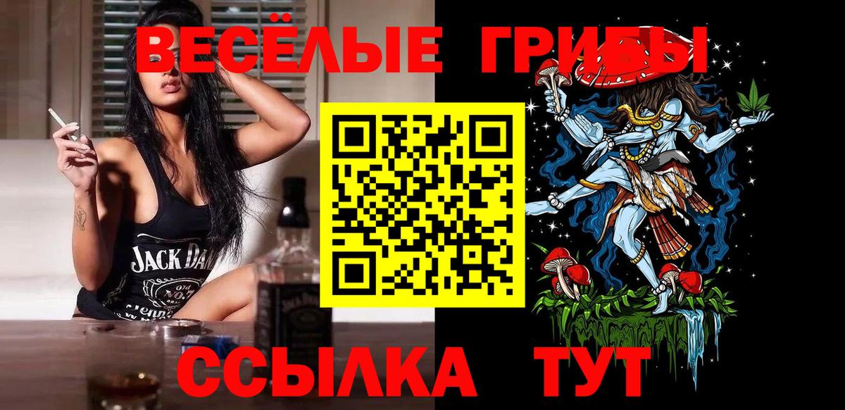 Псилоцибиновые грибы прущие грибы  Вход с VPN  Галлюциногенные грибы GOLDEN TEACHER  Богородицк 